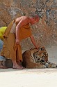 IMG_5169