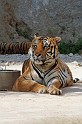 IMG_5182
