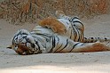 IMG_5189