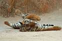 IMG_5197