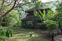 IMG_5235